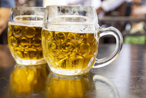 Пиво делает мужчин женоподобными, предупреждают врачи