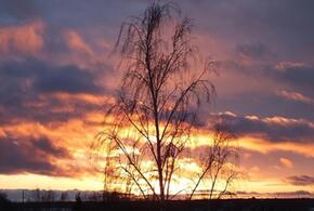 После атаки БПЛА начался пожар, приостановку военной помощи Украине подтвердили в Белом доме: что произошло, пока вы спали