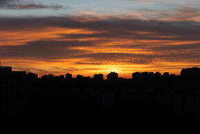 Российские войска близки к освобождению Курской области, Украина попытается убедить США продолжить предоставлять ей разведданные: что произошло, пока вы спали