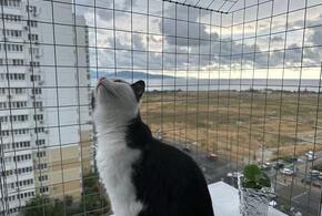 Сколько продлятся дожди в Краснодарском крае, рассказали синоптики