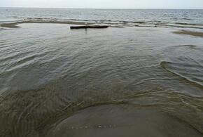 Стало известно, когда расчистят краснодарское водохранилище