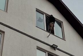 В анапской больнице пациент внезапно взбесился и начал крушить всё вокруг