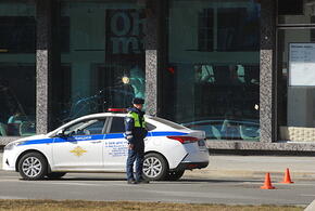 В Туапсе полиция ищет водителя, переехавшего трех щенков на тротуаре