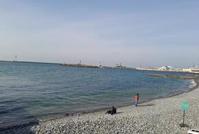 Запуск грузопассажирского парома между Сочи и турецким Трабзоном откладывается уже в третий раз