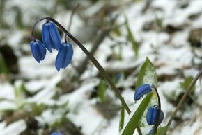 Температура упадет до мартовских показателей