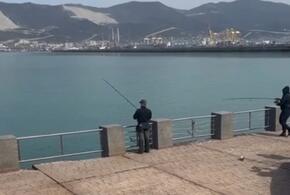 «Драчники» калечат кефаль прямо на набережной Новороссийска