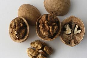 Грецкие орехи предложили переименовать