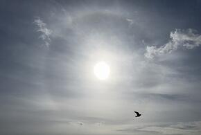 Испытание для метеопатов: мощнейший и затяжной геошторм накроет Землю 