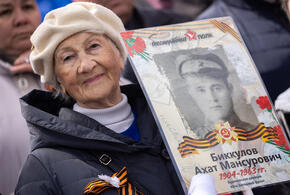 Как принять участие «Бессмертном полке», который в этом году пройдёт онлайн, рассказали в мэрии Краснодара