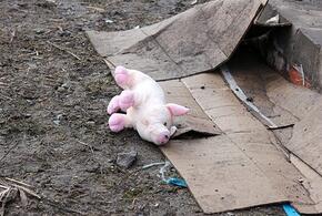 В Краснодарском крае продолжают пропадать дети