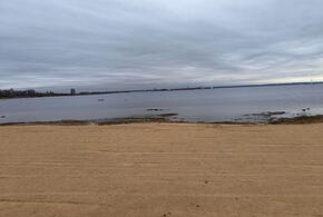 На Кубани задержан важный чиновник за хищения 1 млн кубометров песка