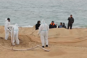 На побережье Анапы начали убирать защитный вал в преддверии курортного сезона