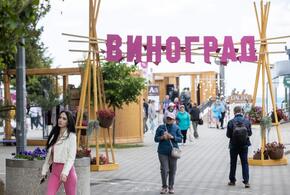 Новую версию курортного сезона предложили власти Анапы