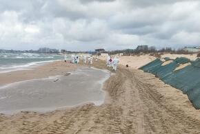 Новые выбросы мазута обнаружили на трех пляжах Анапы