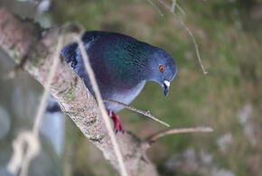 Погода на неделю с 14 по 20 апреля на Кубани