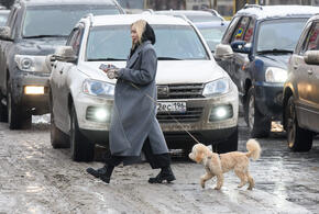 Потепление отменяется: о погоде на выходных в Краснодарском крае рассказали синоптики