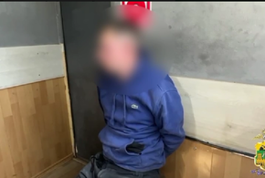 Правоохранители задержали мужчину, помочившегося на полицейскую машину 