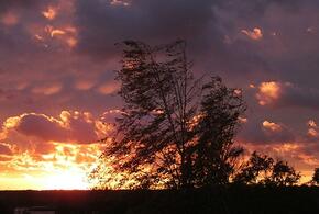 Приближается Страшный суд: пророчество гласит, что 112-й папа станет последним в истории