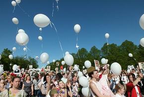 Шествие «Бессмертный полк» в этом году пройдёт в смешанном формате, в традиционном виде и онлайн