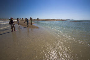 Собрались на отдых: увеличился спрос на летние туры на курорты Азовского моря