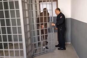 «Соцработники» ограбили пенсионеров в Сочи