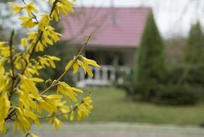 Украина готова придерживаться объявленного Путиным перемирия, самолет с пленными приземлился в Подмосковье: что произошло, пока вы спали