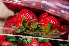 В каком городе Кубани самая дешёвая клубника