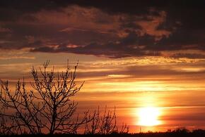 В Краснодаре водитель иномарки умер за рулем, заморозки надвигаются на Кубань: ТОП-5 за 6 апреля