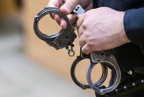 В Подмосковье задержаны жители Кубани, убившие годовалого сына и закопавшие его тело