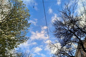 В результате ударов беспилотников ВСУ погибла пенсионерка, зафиксировано землетрясение: что произошло, пока вы спали