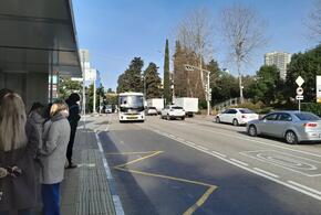  В Сочи общественный транспорт будет работать  даже по ночам