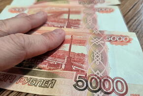 Всего 50 тысяч перевел хозяин собак, которые изуродовали ребенка в Сочи