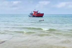 19 тонн мазутной смеси собрали в Анапе всего за день