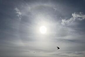 О магнитных бурях в ближайшие дни рассказали учёные