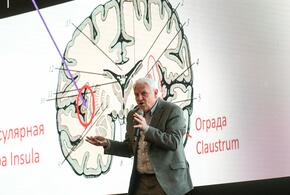 Учёные нашли у людей эпохи неолита мутацию, защищающую от ВИЧ-инфекции