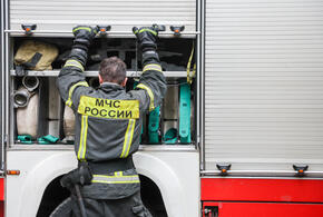 Общая площадь возгорания составила около 40 гектаров