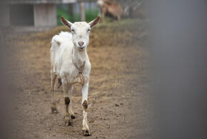 Жительница Гидростроя призывает написать коллективную жалобу 