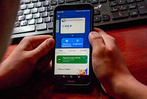 Мошенник с Кубани обворовал Минкультуры РФ с помощью фальшивых экскурсий по Краснодару