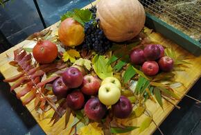 Простые продукты, которые помогут зарядиться витаминами в серые дни