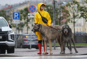 Погода меняется: чего ждать в Краснодарском крае 3 августа