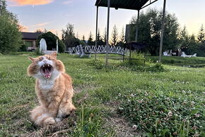 Погода переменится в Краснодарском крае сегодня, 21 августа 