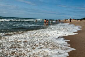 Проверку начали после публикации видео в соцсетях