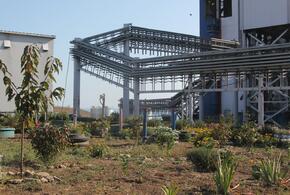 Проверили воду, почву, донные отложения и воздух: в порту Тамань проведены экологические исследования