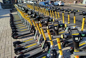 Самокатчиков теперь будут лишать водительских прав за езду в пьяном виде