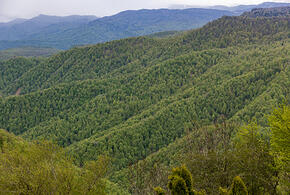 Власти Кубани проводят краеведческий конкурс к 88-летию  региона