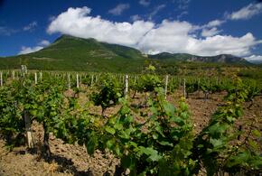 В крае планируют расширить турпоток