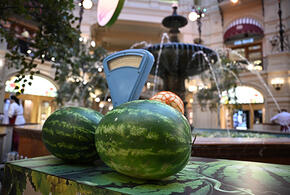  Врач рассказала, кому нельзя есть арбузы