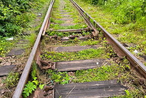 15-летнюю девушку насмерть сбила электричка на Кубани