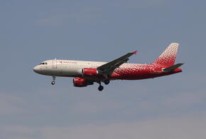 Первый самолет прибыл из Татарстана сегодня