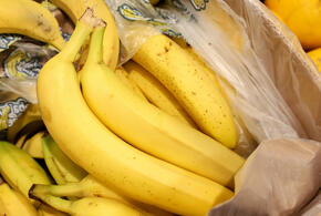 В селе Весёлое открыли первую теплицу для выращивания бананов и других растений